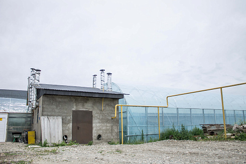 Теплицы в г. Талдыкорган, п. Еркин