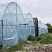 Теплицы в г. Талдыкорган, п. Еркин