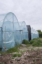 Теплицы в г. Талдыкорган, п. Еркин