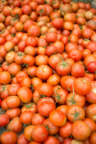 Теплицы в г. Талдыкорган, п. Еркин